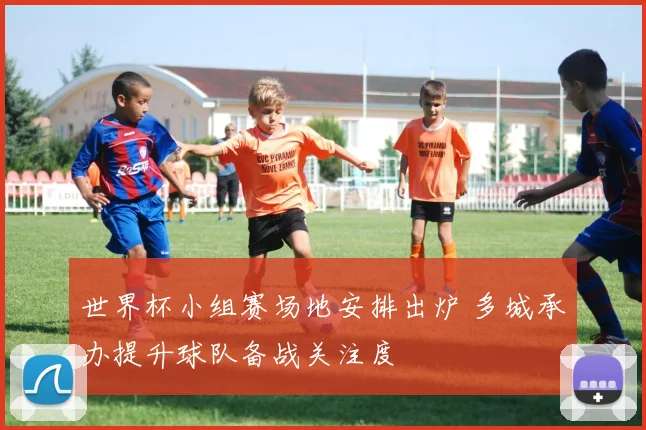 世界杯小组赛场地安排出炉 多城承办提升球队备战关注度