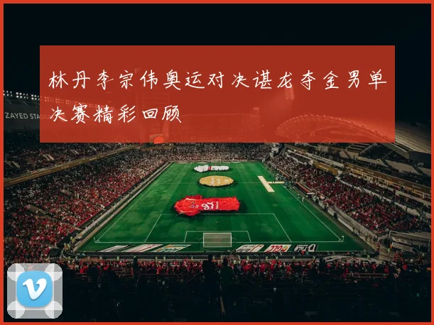 林丹李宗伟奥运对决谌龙夺金男单决赛精彩回顾