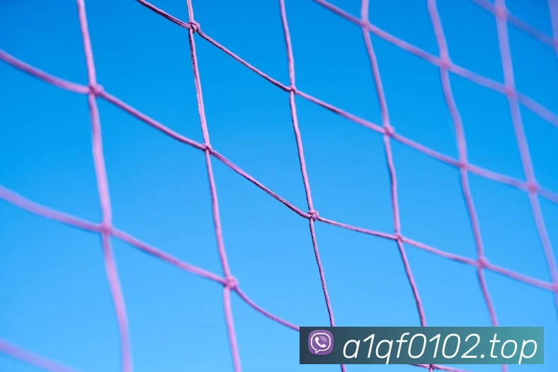 环球体育官网app登录入口发展历程